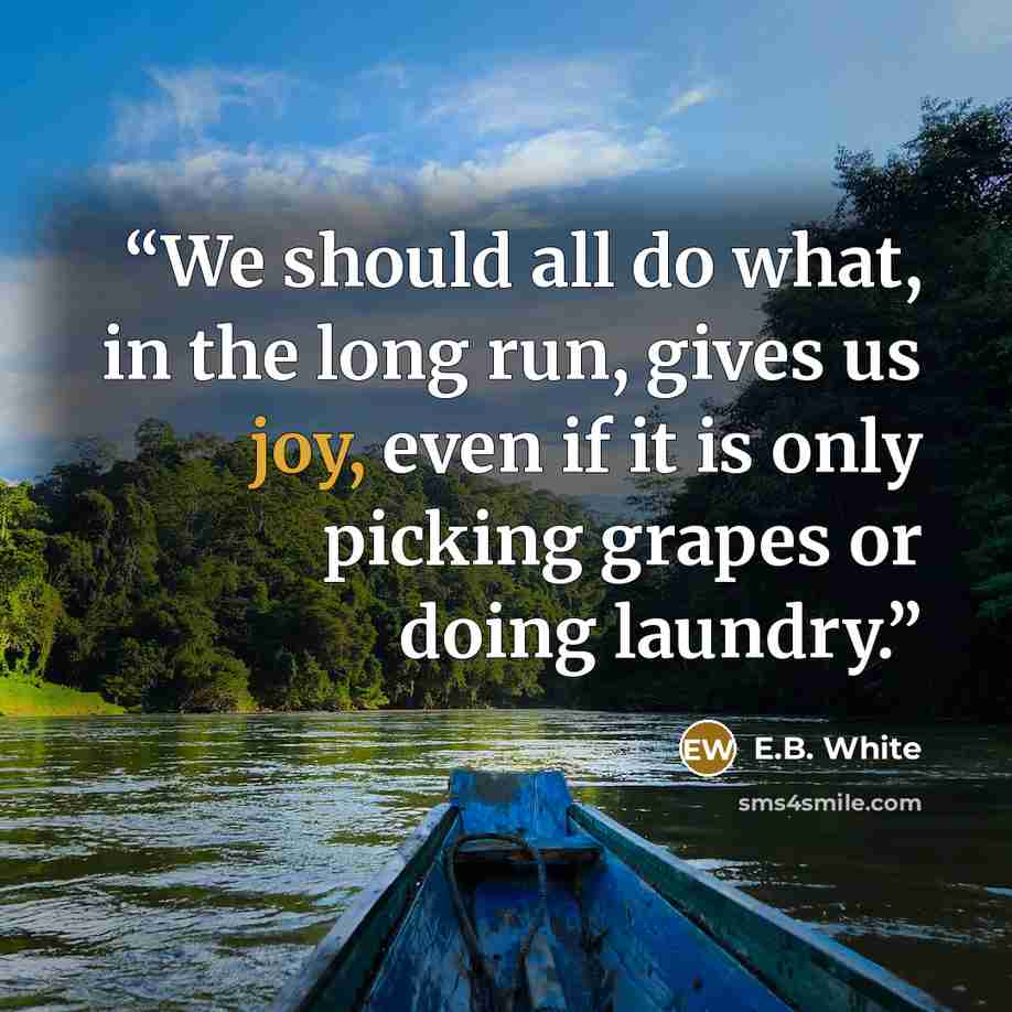 “We should all do what, in the long run, gives us joy, even if it is only picking grapes or doing laundry.” quote by E.B. White