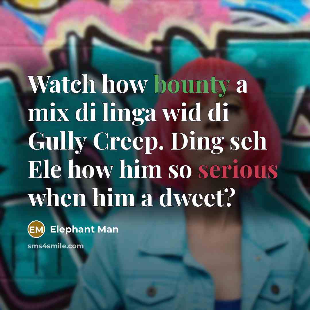 “Watch how bounty a mix di linga wid di Gully Creep. Ding seh Ele how him so serious when him a dweet?” quote by Elephant Man