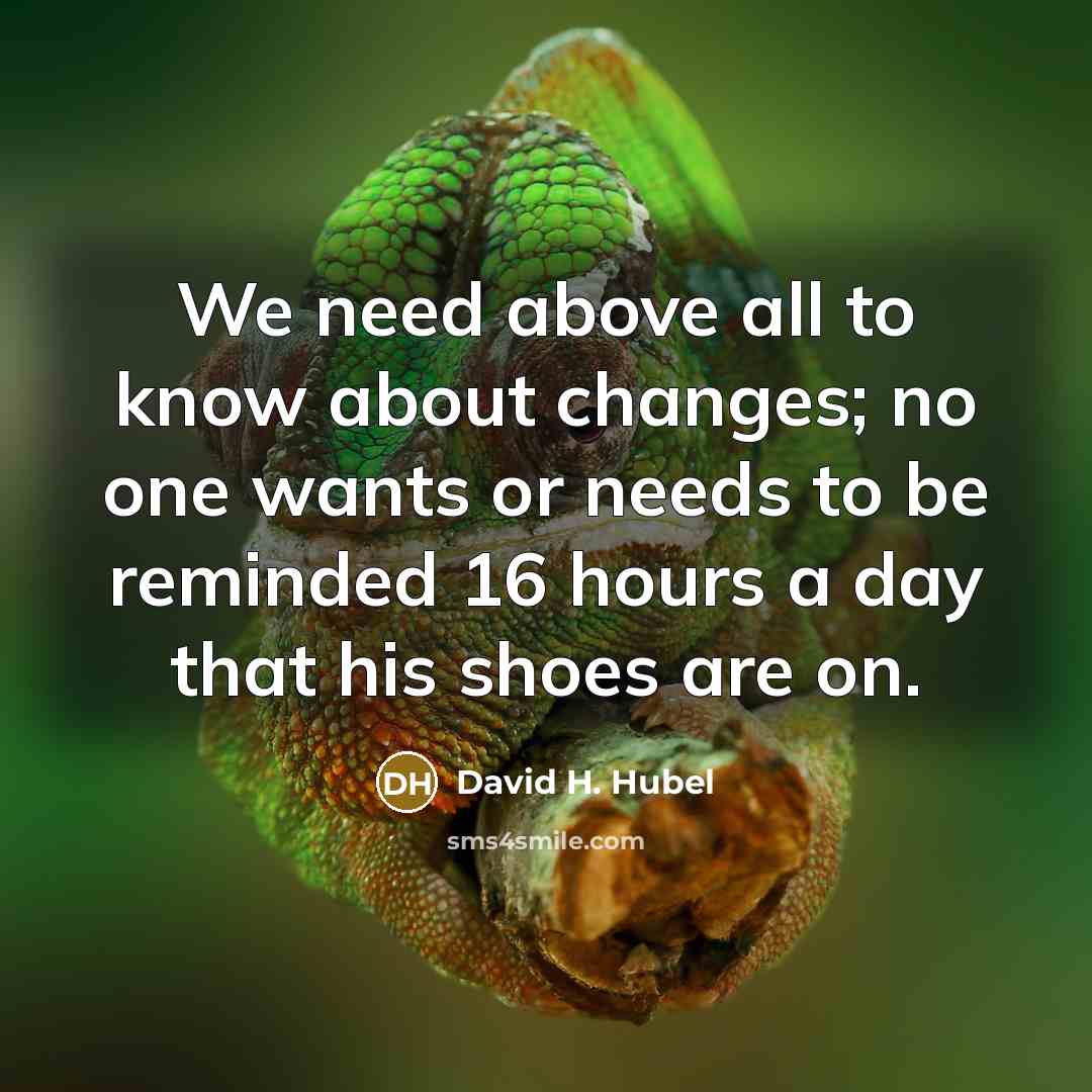 “We need above all to know about changes; no one wants or needs to be reminded 16 hours a day that his shoes are on.” quote by David H. Hubel