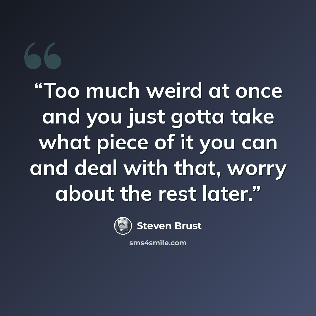 “Too much weird at once and you just gotta take what piece of it you can and deal with that, worry about the rest later.” quote by Steven Brust