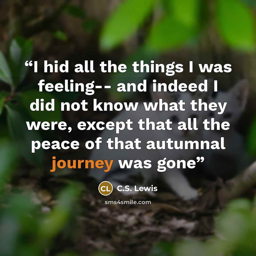“I hid all the things I was feeling-- and indeed I did not know what they were, except that all the peace of that autumnal journey was gone” quote by C.S. Lewis