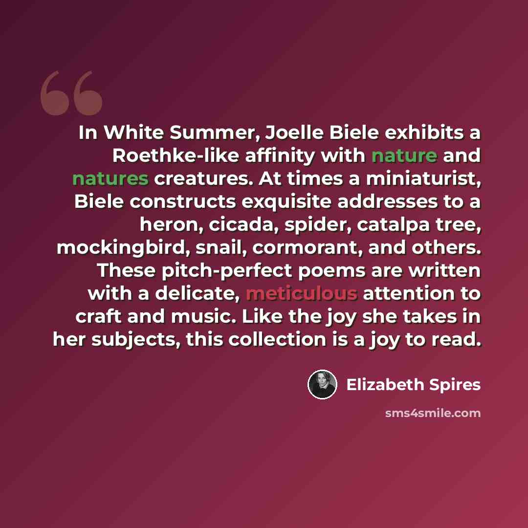 “In White Summer, Joelle Biele exhibits a Roethke-like affinity with nature and natures creatures. At times a miniaturist, Biele constructs exquisite addresses to a heron, cicada, spider, catalpa tree, mockingbird, snail, cormorant, and others. These pitch-perfect poems are written with a delicate…” quote by Elizabeth Spires