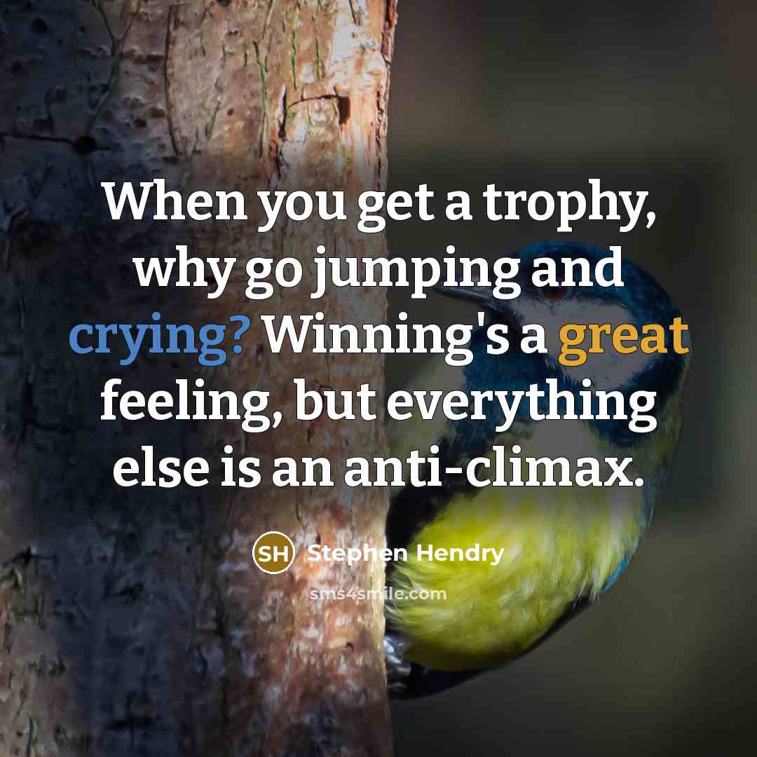 “When you get a trophy, why go jumping and crying? Winning's a great feeling, but everything else is an anti-climax.” quote by Stephen Hendry