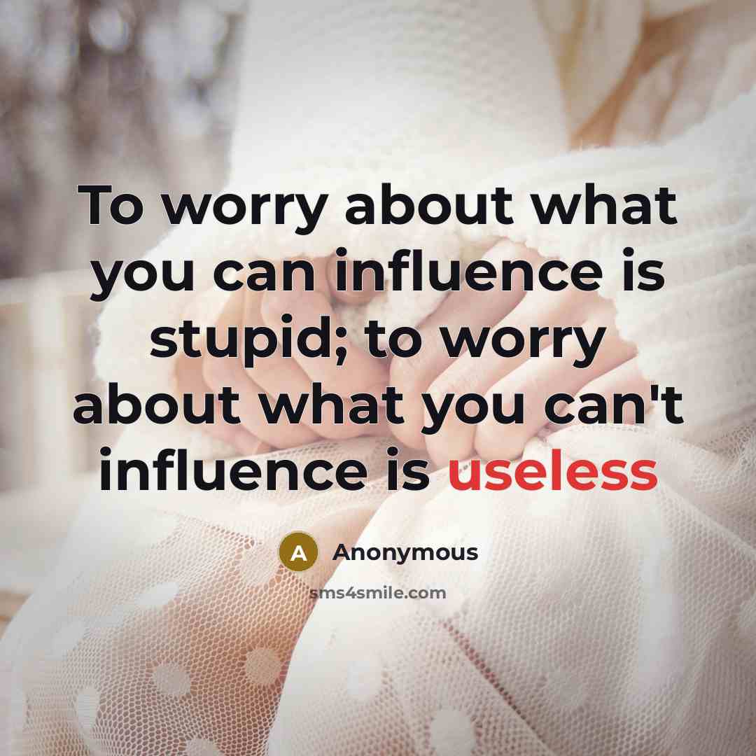 “To worry about what you can influence is stupid; to worry about what you can't influence is useless” quote by Anonymous