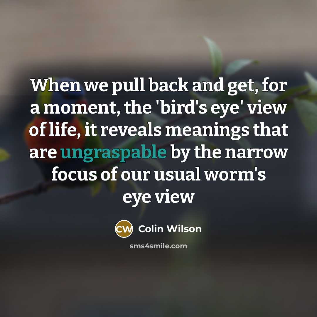 “When we pull back and get, for a moment, the 'bird's eye' view of life, it reveals meanings that are ungraspable by the narrow focus of our usual worm's eye view” quote by Colin Wilson