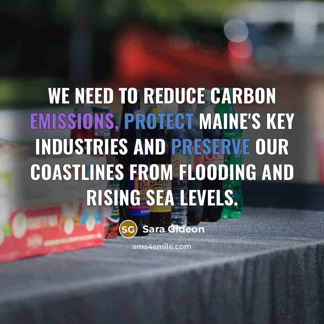 “We need to reduce carbon emissions, protect Maine's key industries and preserve our coastlines from flooding and rising sea levels.” quote by Sara Gideon