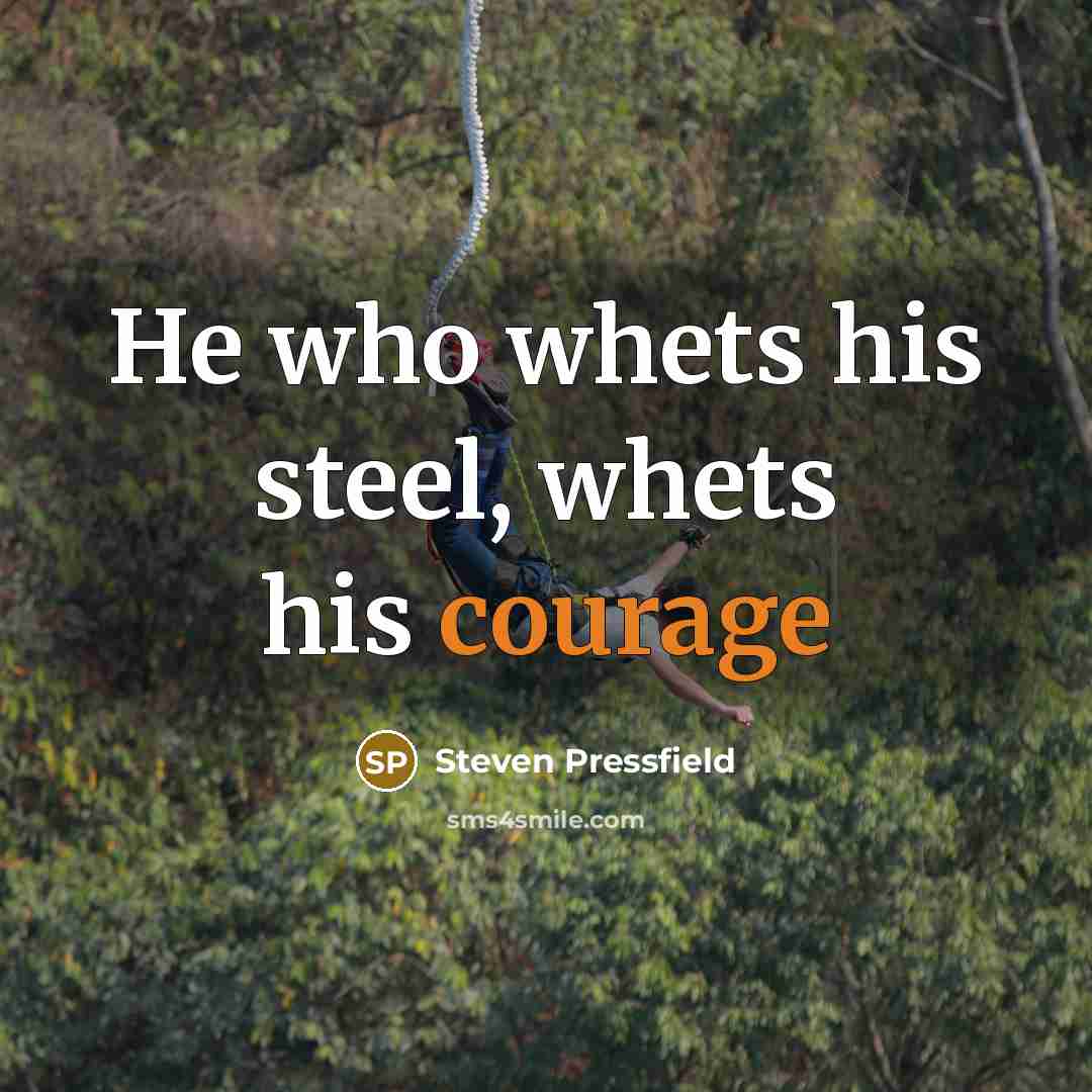 “He who whets his steel, whets his courage” quote by Steven Pressfield
