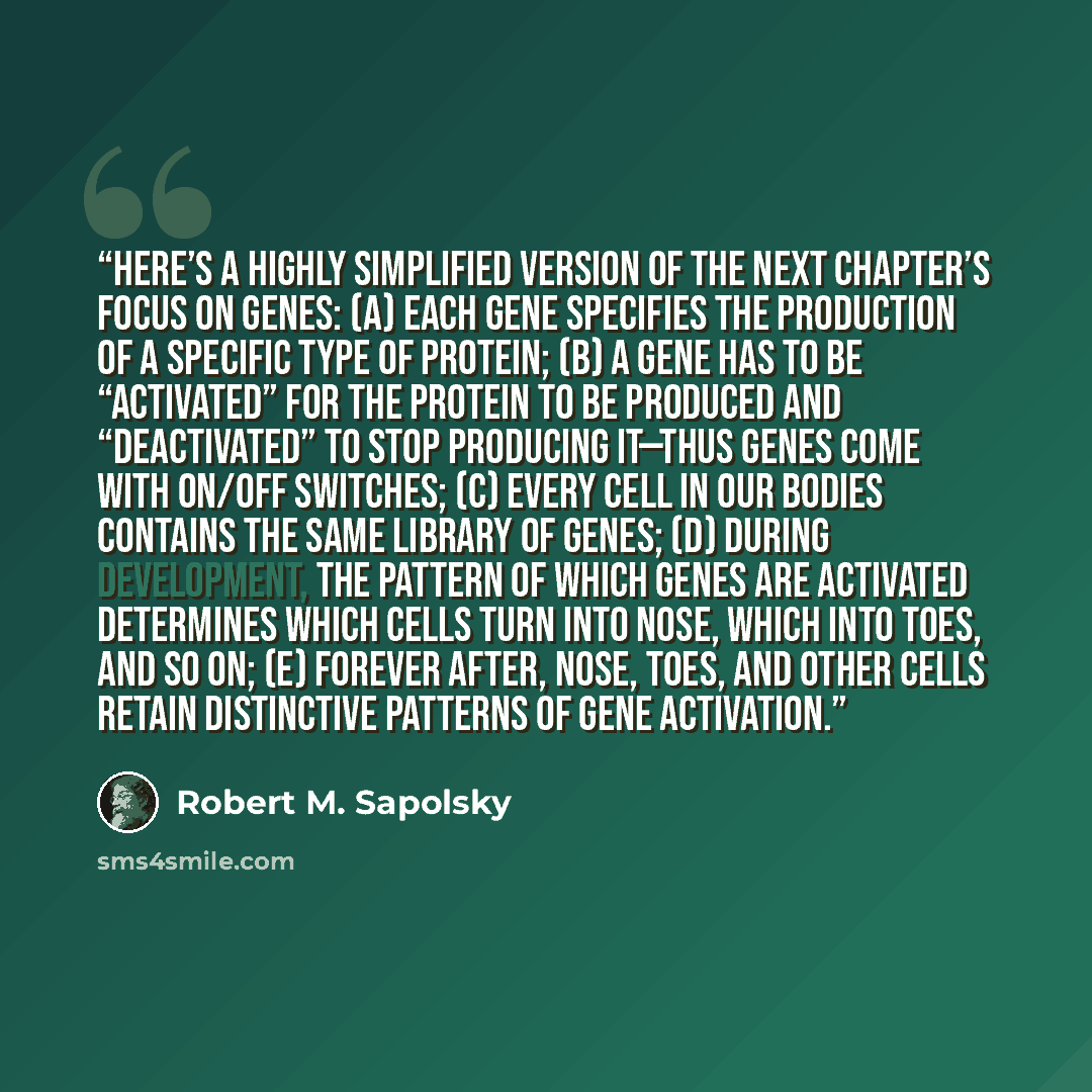 “here’s a highly simplified version of the next chapter’s focus on genes: (a) each gene specifies the production of a specific type of protein; (b) a gene has to be “activated” for the protein to be produced and “deactivated” to stop producing it—thus genes come with on/off switches; (c) every cell…” quote by Robert M. Sapolsky