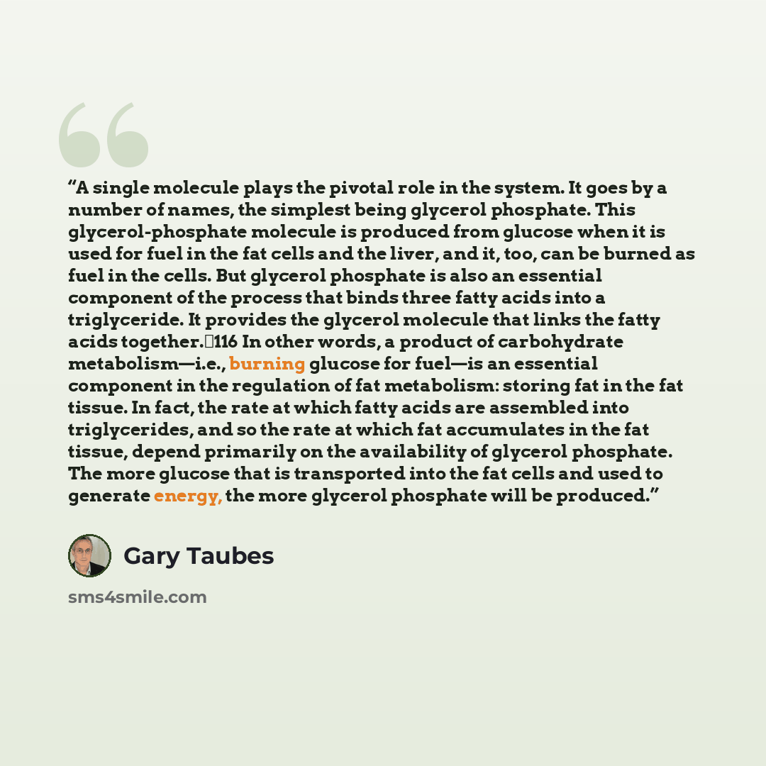 “A single molecule plays the pivotal role in the system. It goes by a number of names, the simplest being glycerol phosphate. This glycerol-phosphate molecule is produced from glucose when it is used for fuel in the fat cells and the liver, and it, too, can be burned as fuel in the cells. But…” quote by Gary Taubes