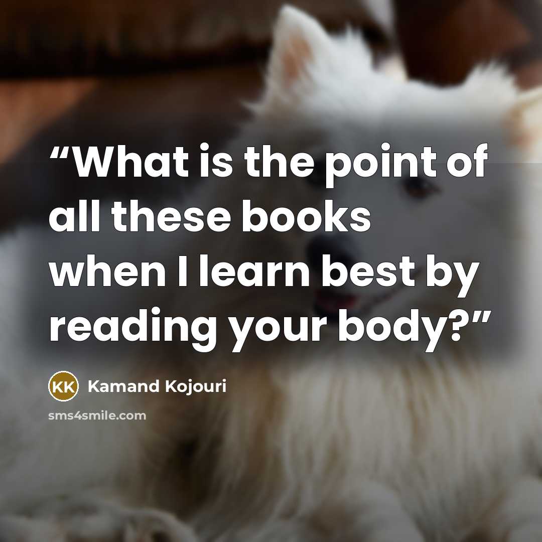 “What is the point of all these books when I learn best by reading your body?” quote by Kamand Kojouri