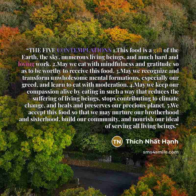 “THE FIVE CONTEMPLATIONS 1.This food is a gift of the Earth, the sky, numerous living beings, and much hard and loving work. 2.May we eat with mindfulness and gratitude so as to be worthy to receive this food. 3.May we recognize and transform unwholesome mental formations, especially our greed, and…” quote by Thich Nhat Hanh