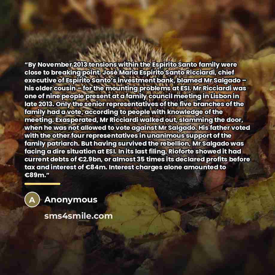 “By November 2013 tensions within the Espírito Santo family were close to breaking point. José Maria Espírito Santo Ricciardi, chief executive of Espírito Santo’s investment bank, blamed Mr Salgado – his older cousin – for the mounting problems at ESI. Mr Ricciardi was one of nine people present at…” quote by Anonymous