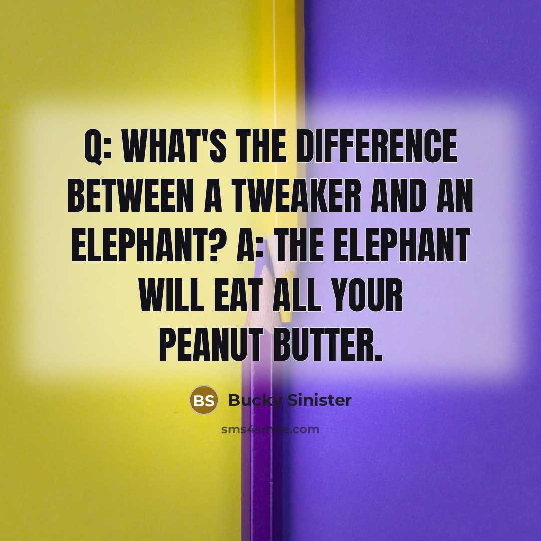 “Q: What's the difference between a tweaker and an elephant? A: The elephant will eat all your peanut butter.” quote by Bucky Sinister
