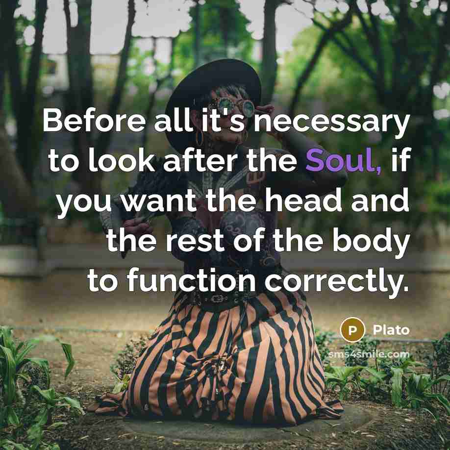 “Before all it's necessary to look after the Soul, if you want the head and the rest of the body to function correctly.” quote by Plato