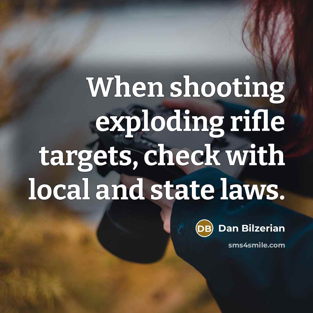 “When shooting exploding rifle targets, check with local and state laws.” quote by Dan Bilzerian