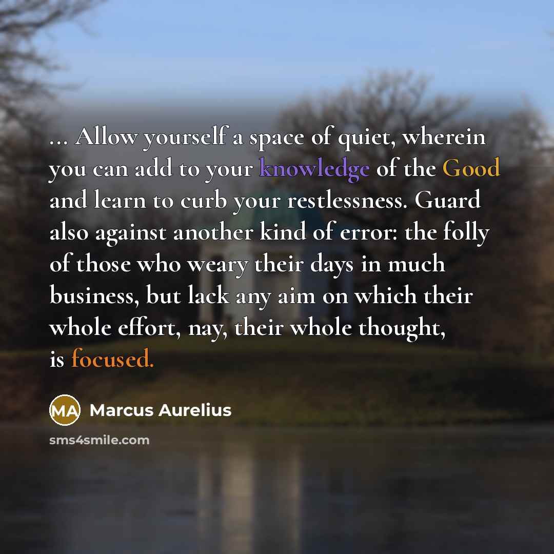 “... Allow yourself a space of quiet, wherein you can add to your knowledge of the Good and learn to curb your restlessness. Guard also against another kind of error: the folly of those who weary their days in much business, but lack any aim on which their whole effort, nay, their whole thought, is…” quote by Marcus Aurelius