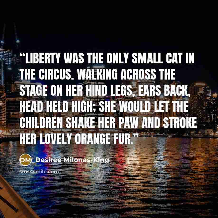 “Liberty was the only small cat in the circus. Walking across the stage on her hind legs, ears back, head held high; she would let the children shake her paw and stroke her lovely orange fur.” quote by Desiree Milonas-King