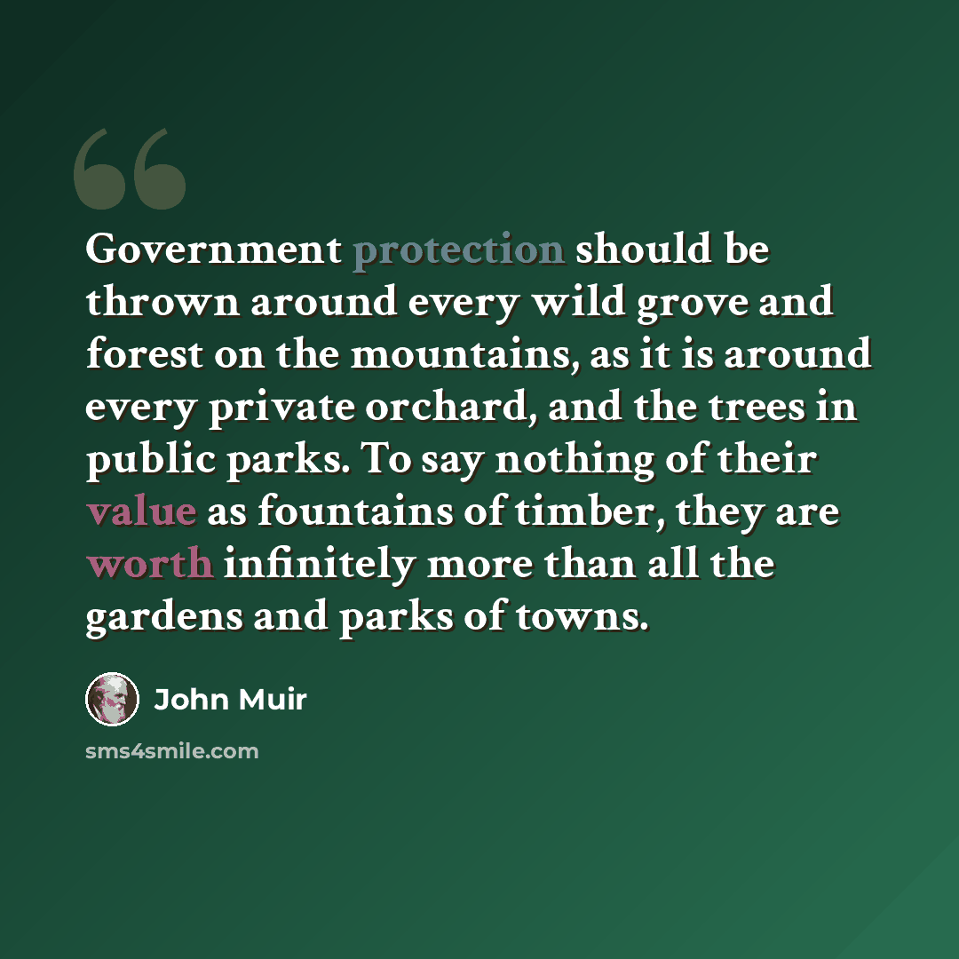 “Government protection should be thrown around every wild grove and forest on the mountains, as it is around every private orchard, and the trees in public parks. To say nothing of their value as fountains of timber, they are worth infinitely more than all the gardens and parks of towns.” quote by John Muir