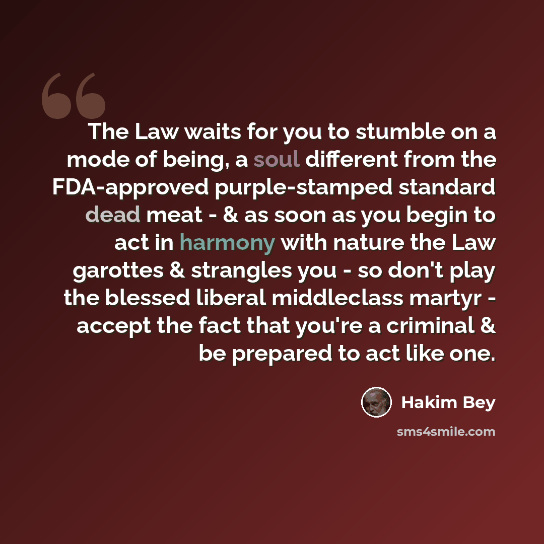“The Law waits for you to stumble on a mode of being, a soul different from the FDA-approved purple-stamped standard dead meat - & as soon as you begin to act in harmony with nature the Law garottes & strangles you - so don't play the blessed liberal middleclass martyr - accept the fact that you're…” quote by Hakim Bey