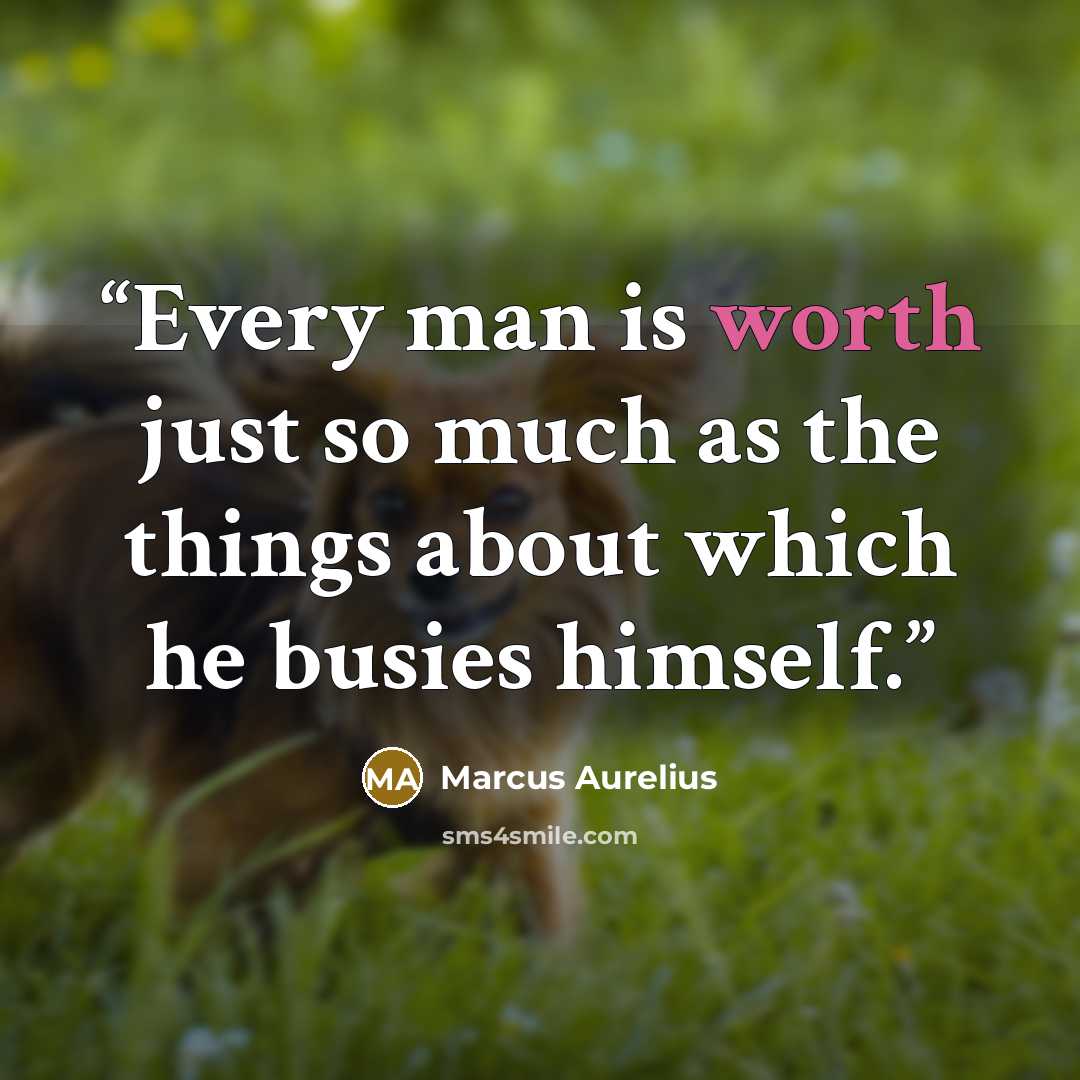 “Every man is worth just so much as the things about which he busies himself.” quote by Marcus Aurelius