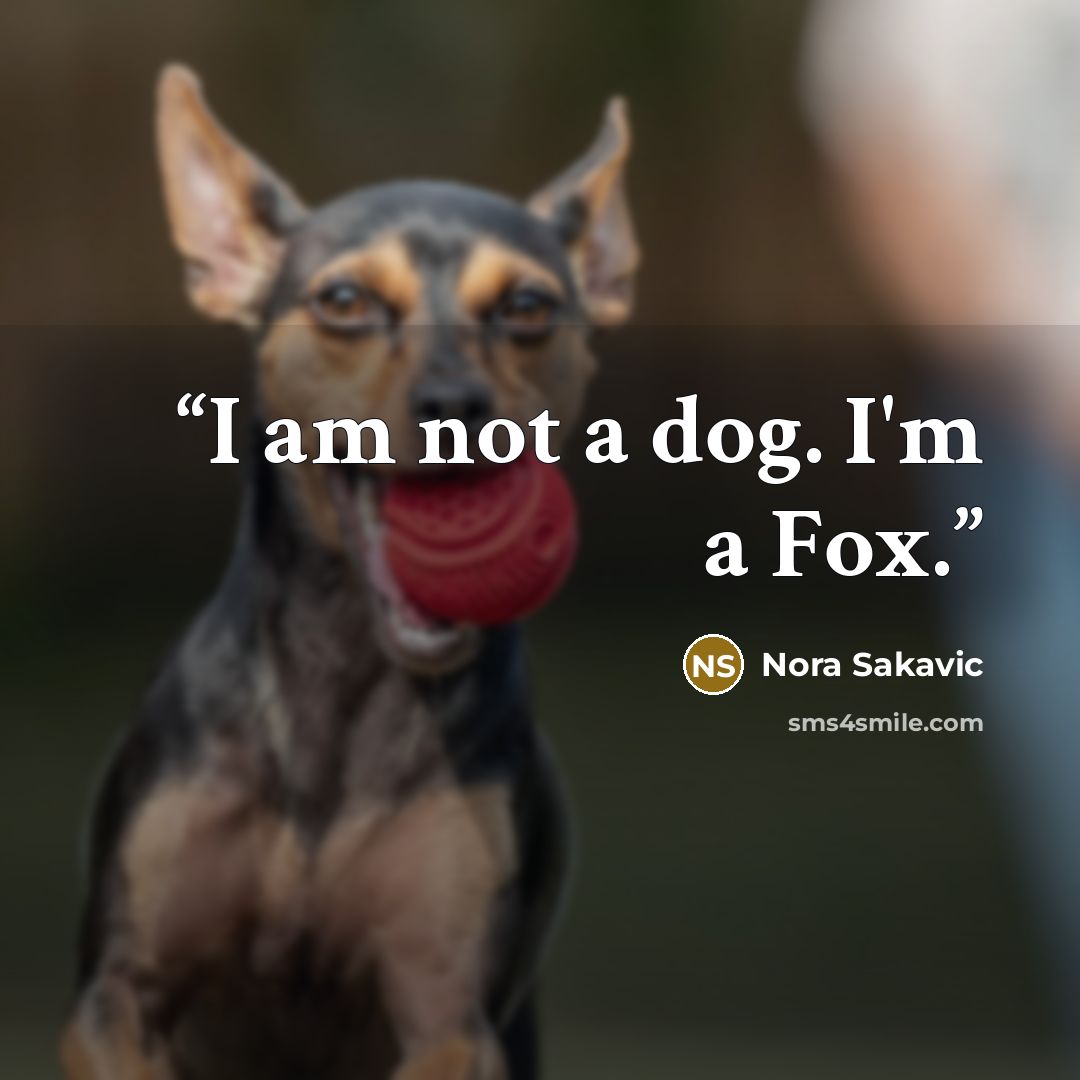 “I am not a dog. I'm a Fox.” quote by Nora Sakavic