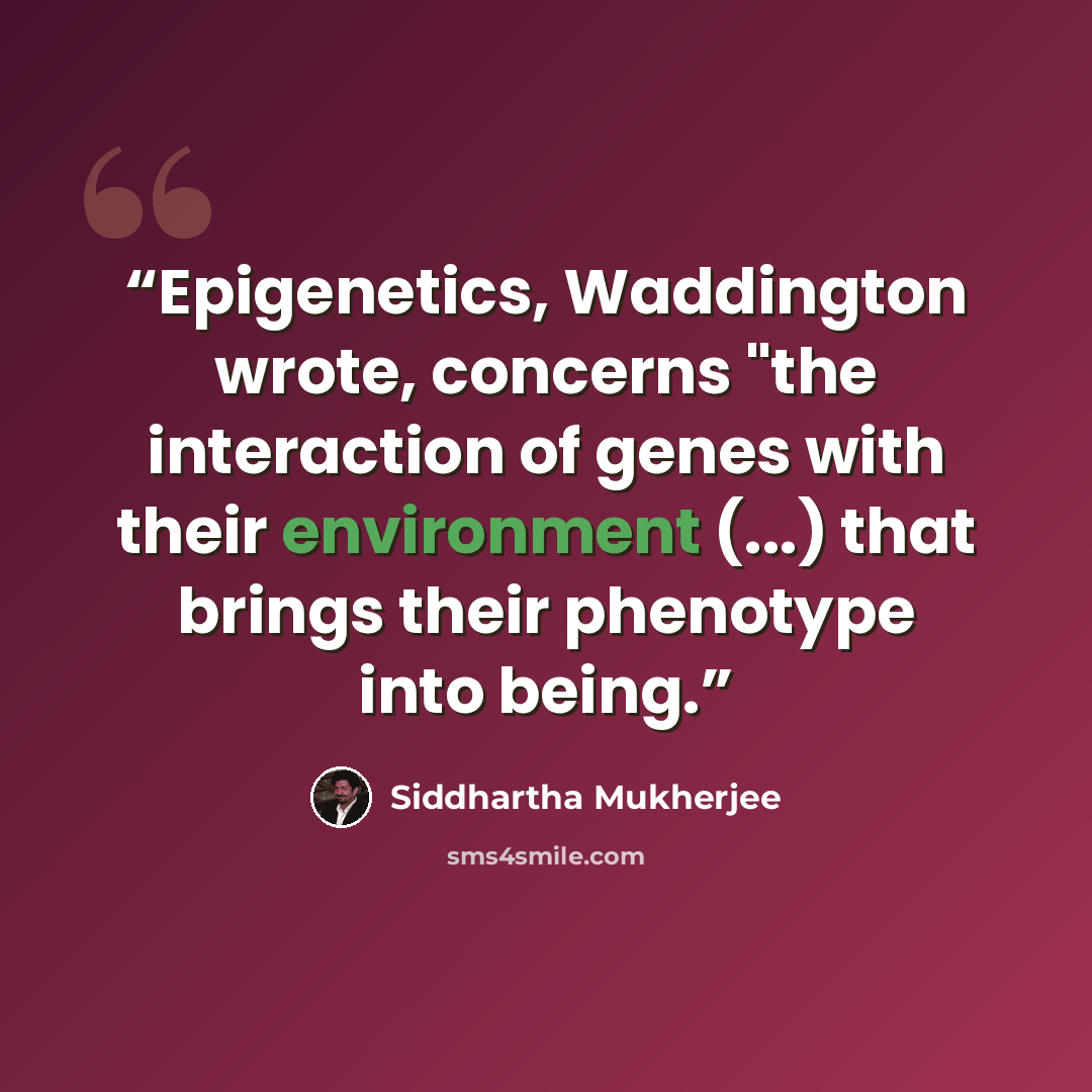 “Epigenetics, Waddington wrote, concerns "the interaction of genes with their environment (...) that brings their phenotype into being.” quote by Siddhartha Mukherjee