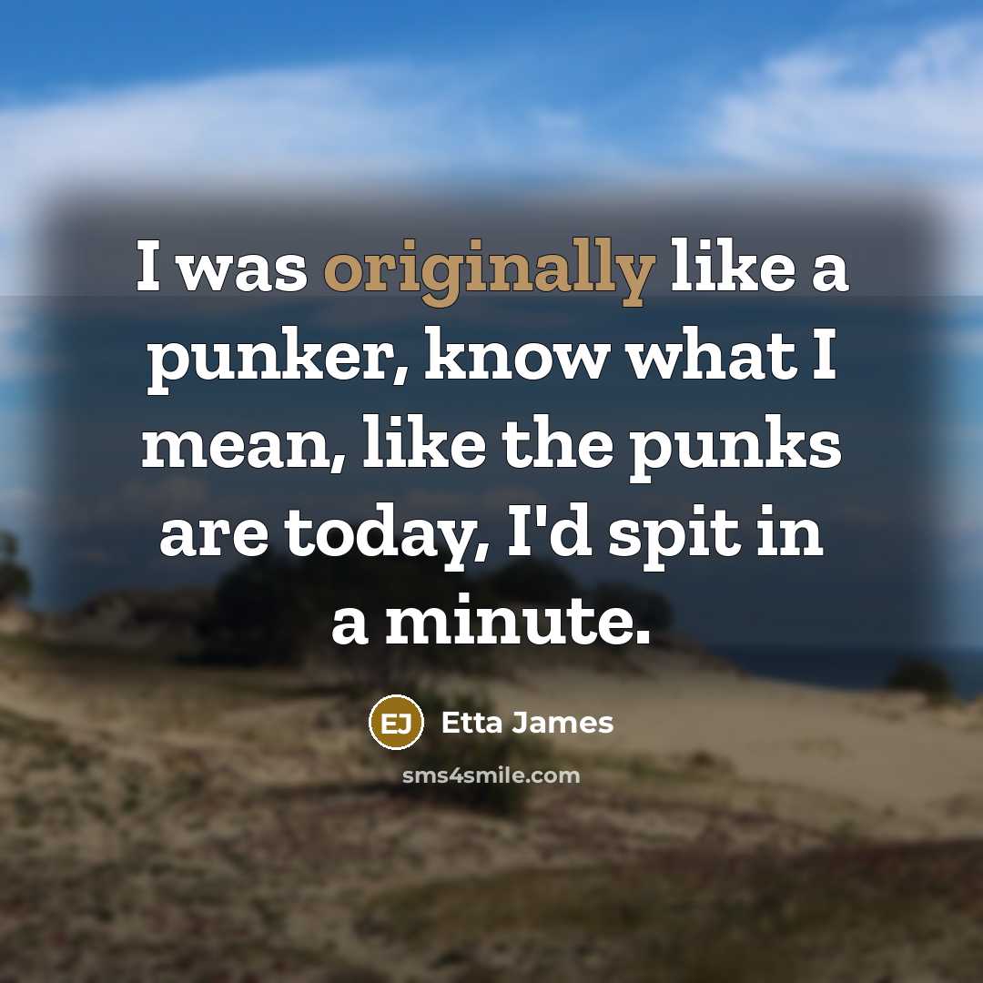 “I was originally like a punker, know what I mean, like the punks are today, I'd spit in a minute.” quote by Etta James