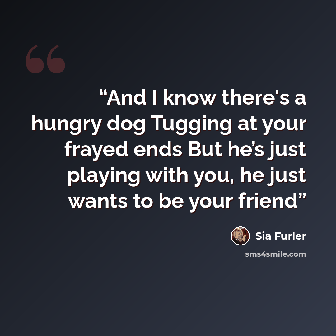 “And I know there's a hungry dog Tugging at your frayed ends But he’s just playing with you, he just wants to be your friend” quote by Sia Furler