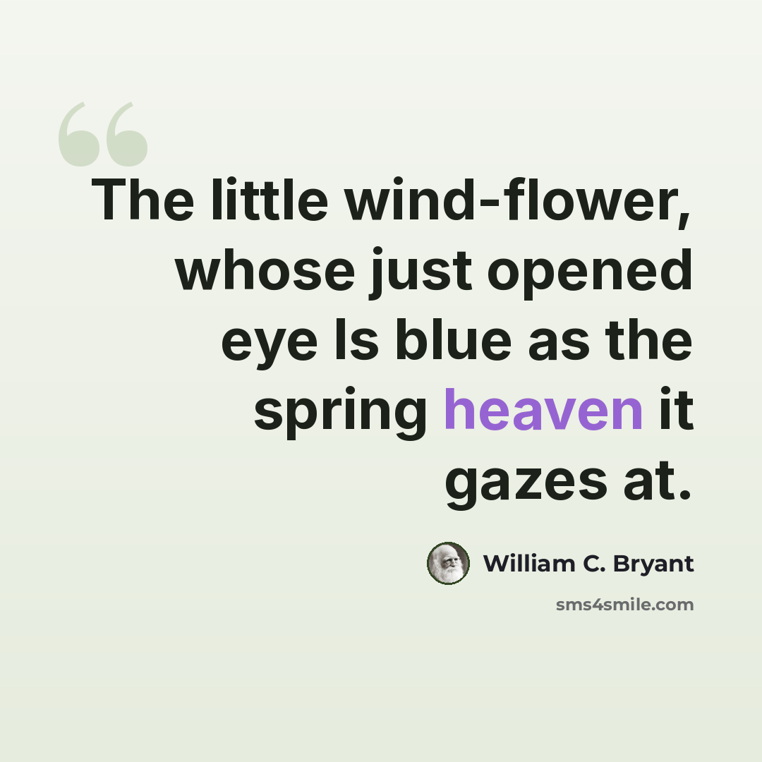 “The little wind-flower, whose just opened eye Is blue as the spring heaven it gazes at.” quote by William C. Bryant