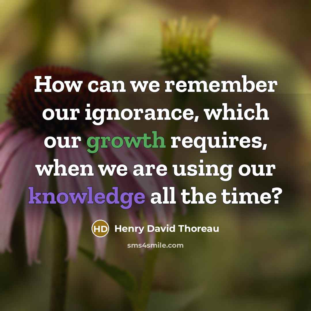 “How can we remember our ignorance, which our growth requires, when we are using our knowledge all the time?” quote by Henry David Thoreau