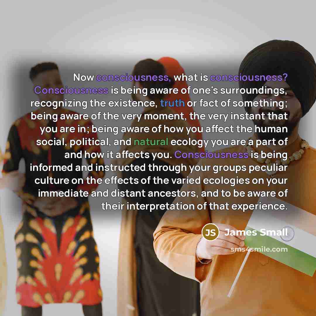“Now consciousness, what is consciousness? Consciousness is being aware of one's surroundings, recognizing the existence, truth or fact of something; being aware of the very moment, the very instant that you are in; being aware of how you affect the human social, political, and natural ecology you…” quote by James Small