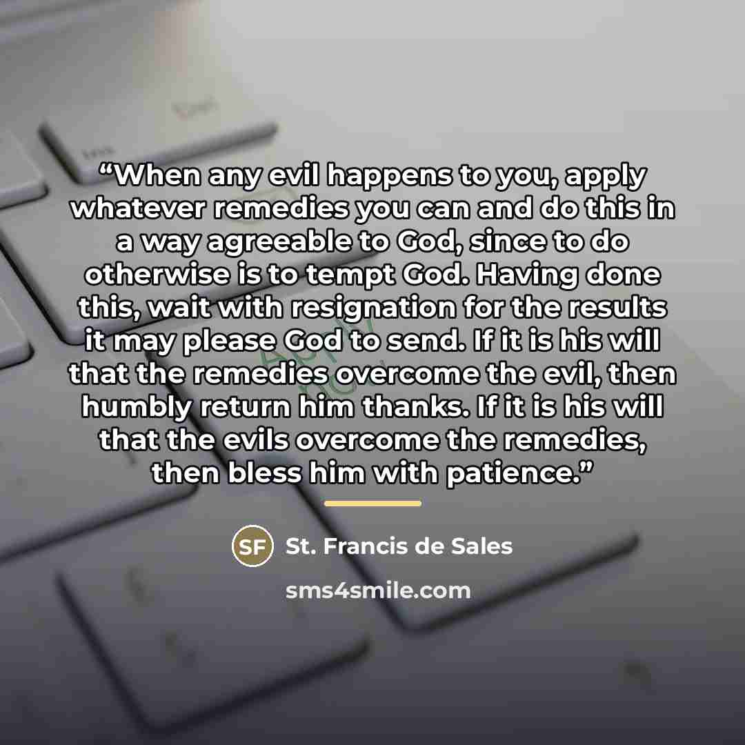 “When any evil happens to you, apply whatever remedies you can and do this in a way agreeable to God, since to do otherwise is to tempt God. Having done this, wait with resignation for the results it may please God to send. If it is his will that the remedies overcome the evil, then humbly return…” quote by St. Francis de Sales