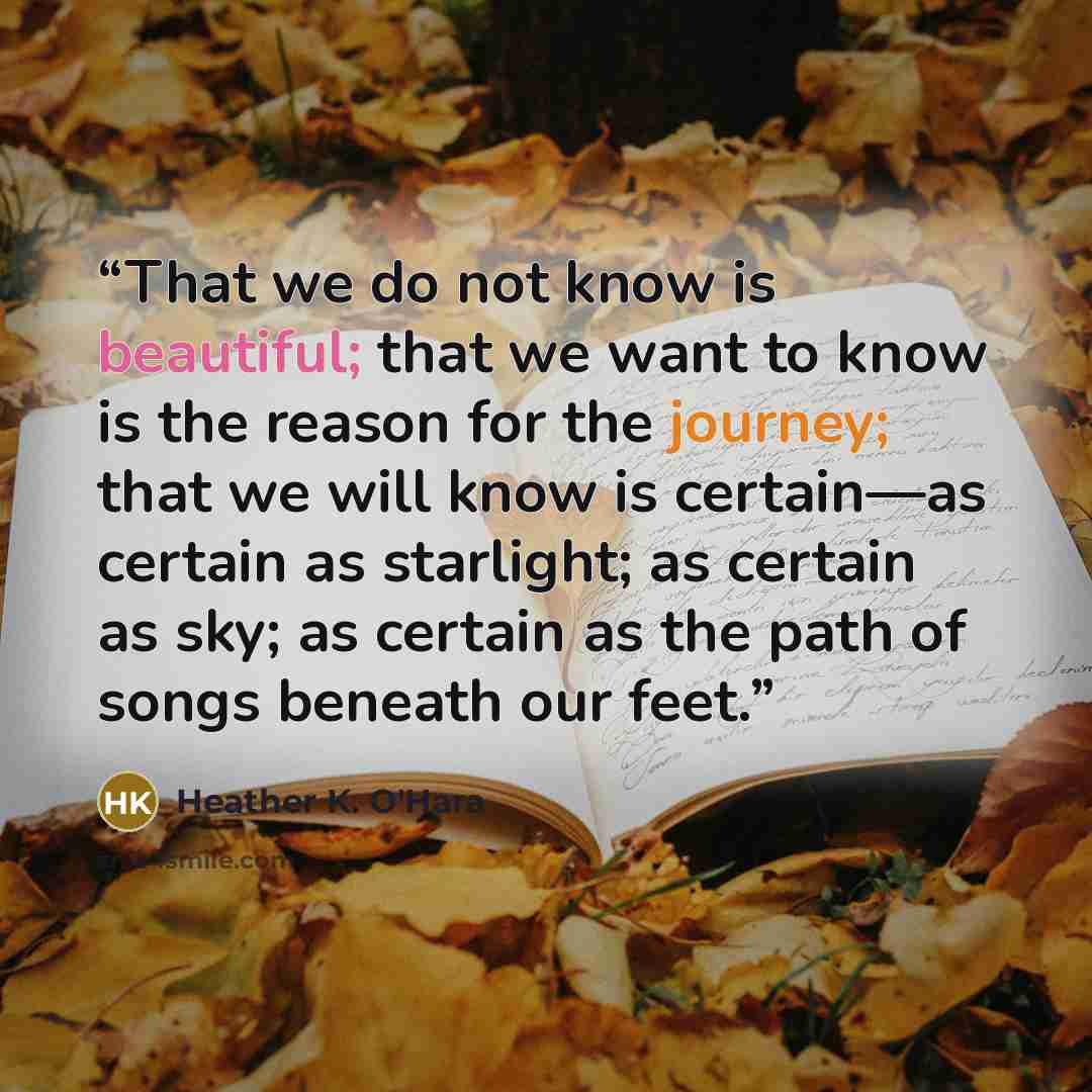 “That we do not know is beautiful; that we want to know is the reason for the journey; that we will know is certain—as certain as starlight; as certain as sky; as certain as the path of songs beneath our feet.” quote by Heather K. O'Hara