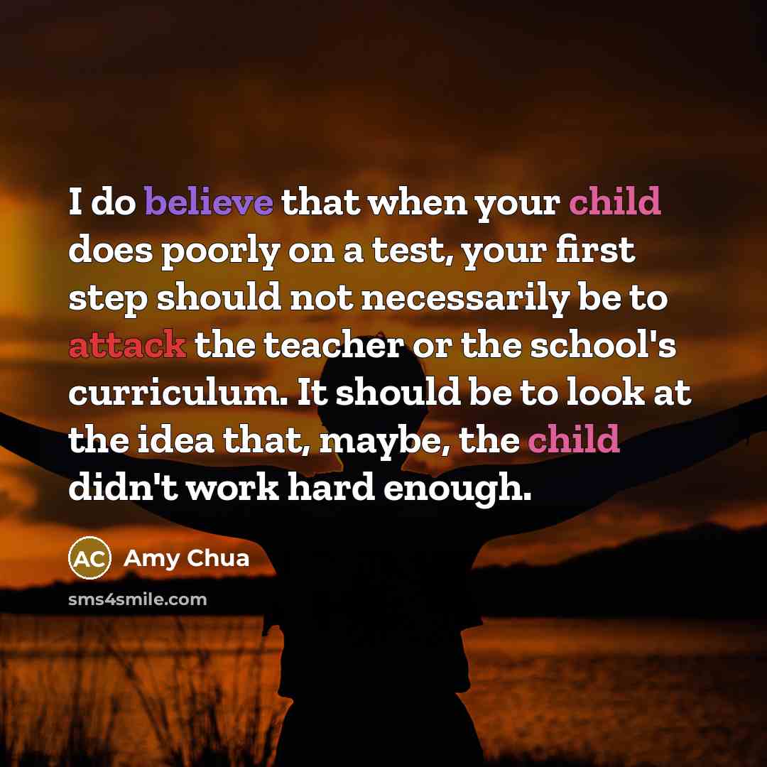 “I do believe that when your child does poorly on a test, your first step should not necessarily be to attack the teacher or the school's curriculum. It should be to look at the idea that, maybe, the child didn't work hard enough.” quote by Amy Chua