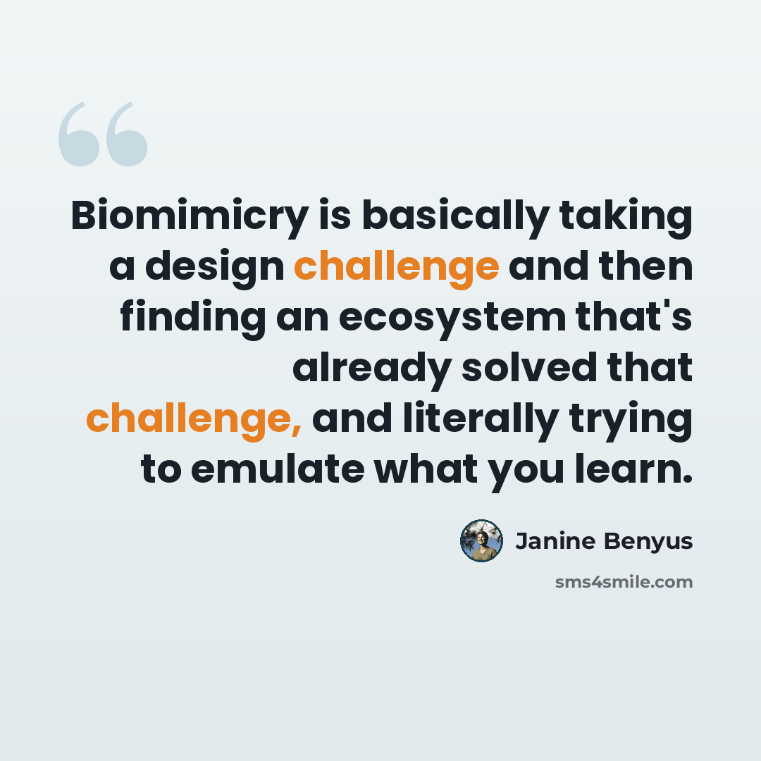 “Biomimicry is basically taking a design challenge and then finding an ecosystem that's already solved that challenge, and literally trying to emulate what you learn.” quote by Janine Benyus