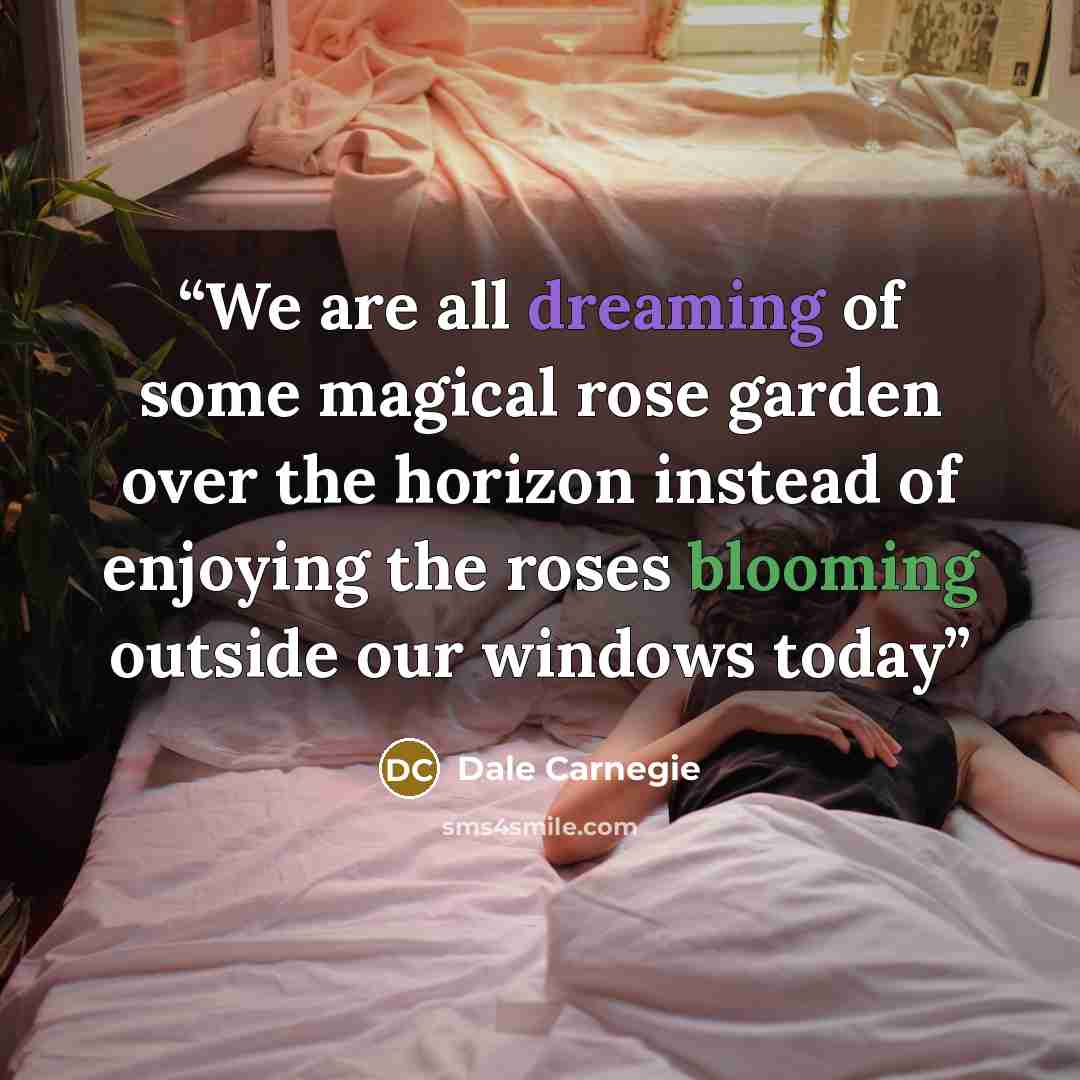 “We are all dreaming of some magical rose garden over the horizon instead of enjoying the roses blooming outside our windows today” quote by Dale Carnegie