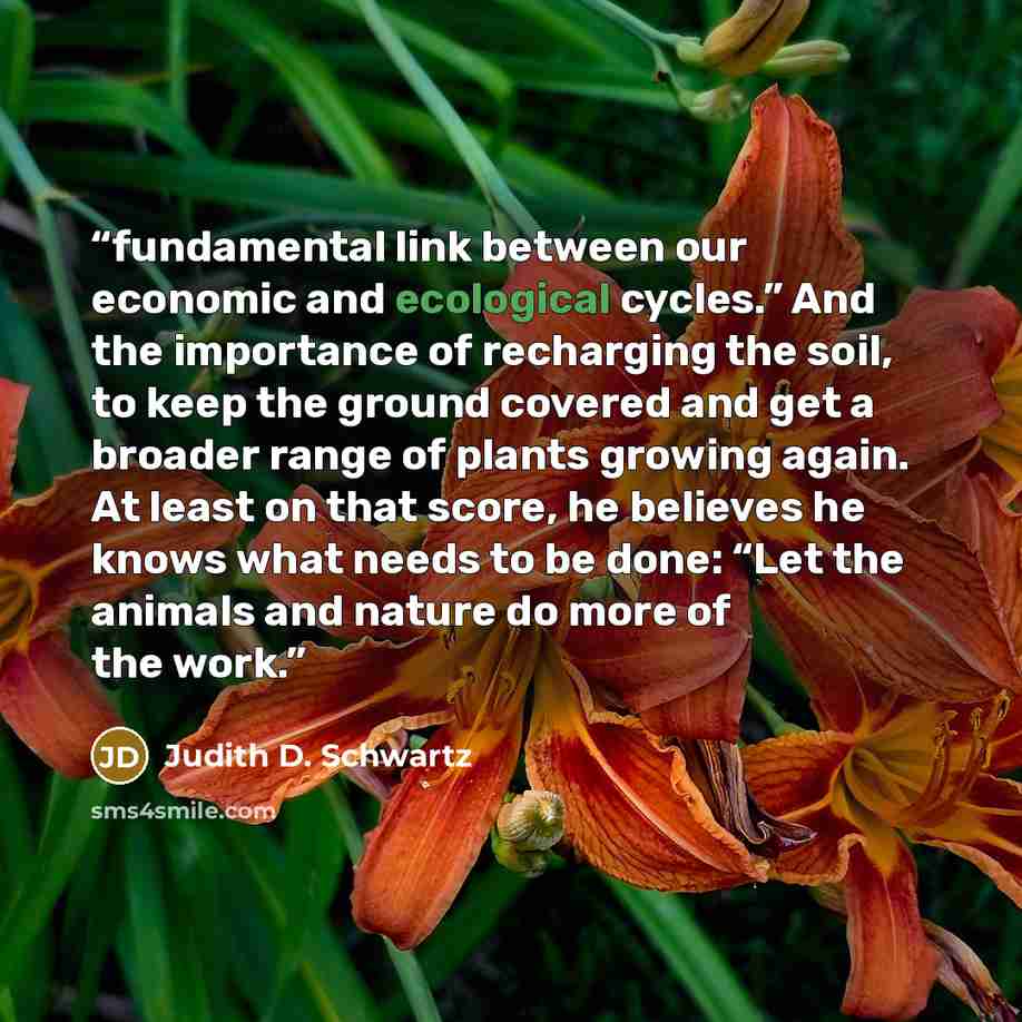 “fundamental link between our economic and ecological cycles.” And the importance of recharging the soil, to keep the ground covered and get a broader range of plants growing again. At least on that score, he believes he knows what needs to be done: “Let the animals and nature do more of the work.” quote by Judith D. Schwartz