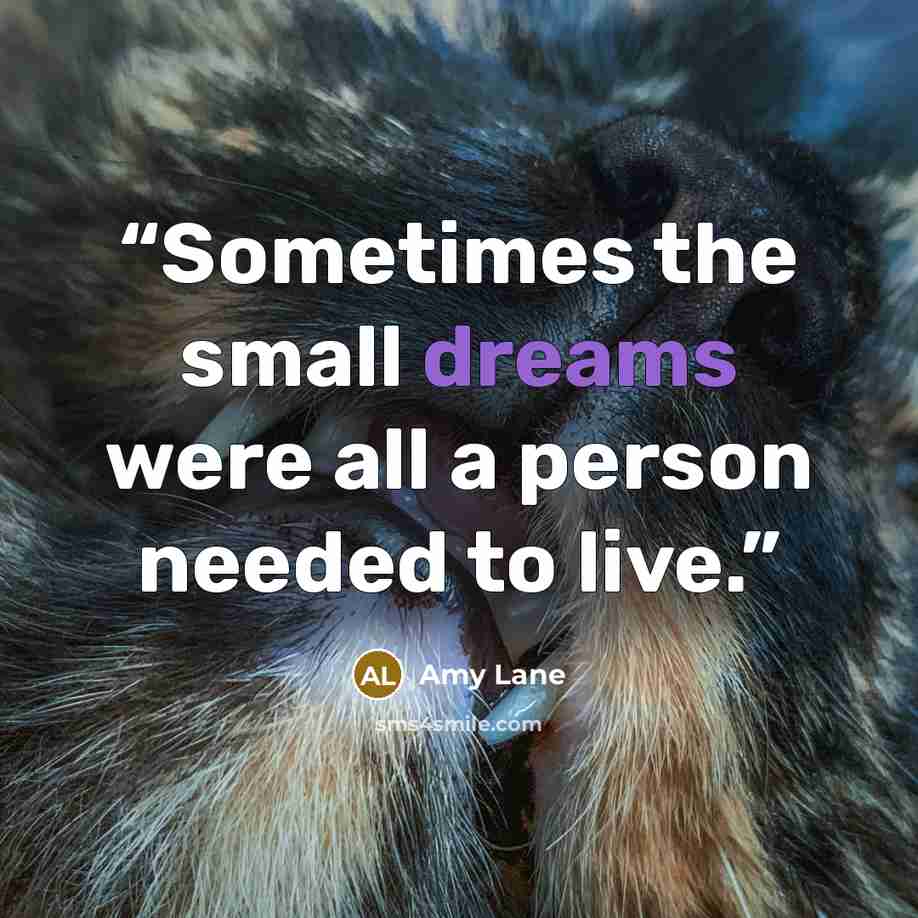 “Sometimes the small dreams were all a person needed to live.” quote by Amy Lane