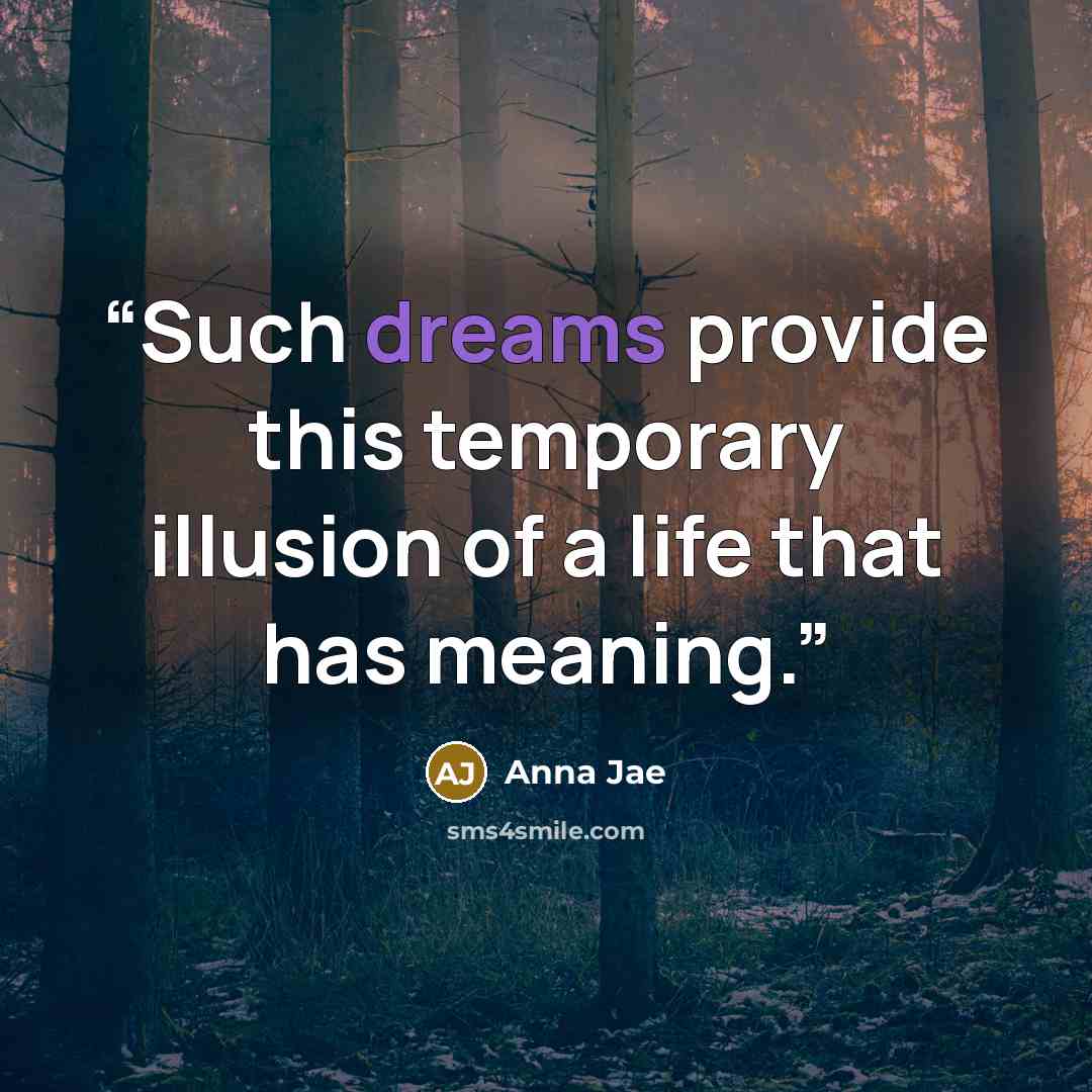 “Such dreams provide this temporary illusion of a life that has meaning.” quote by Anna Jae