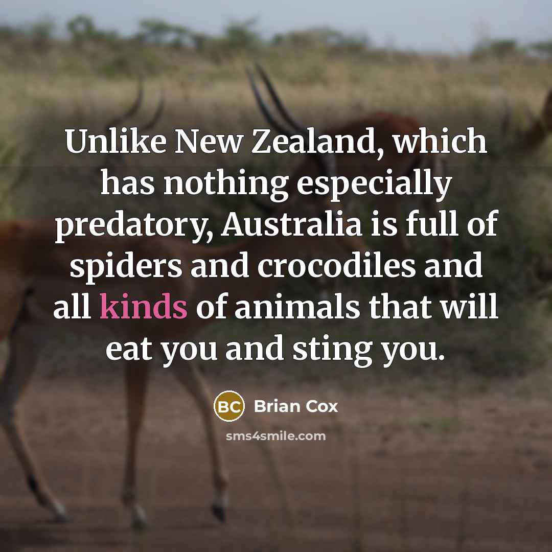“Unlike New Zealand, which has nothing especially predatory, Australia is full of spiders and crocodiles and all kinds of animals that will eat you and sting you.” quote by Brian Cox