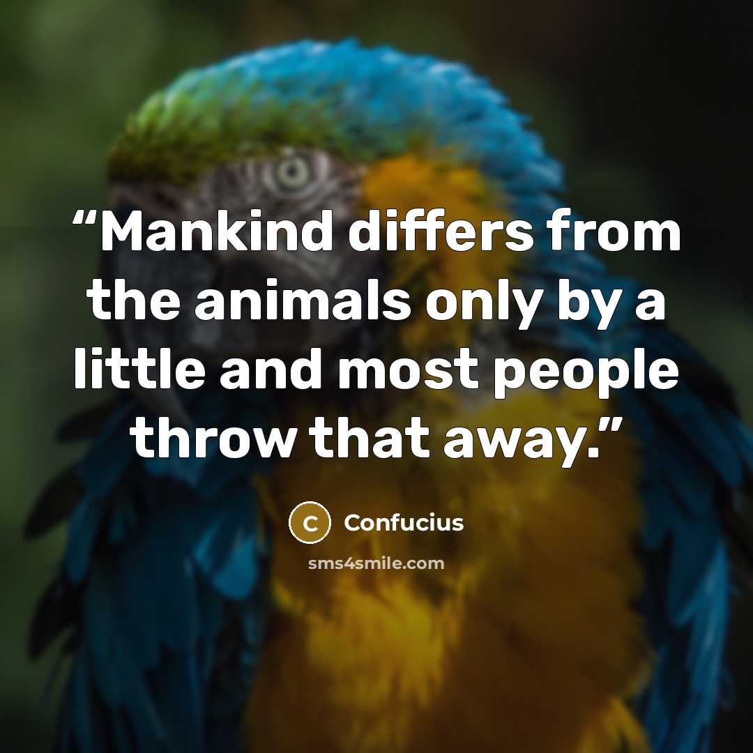 “Mankind differs from the animals only by a little and most people throw that away.” quote by Confucius