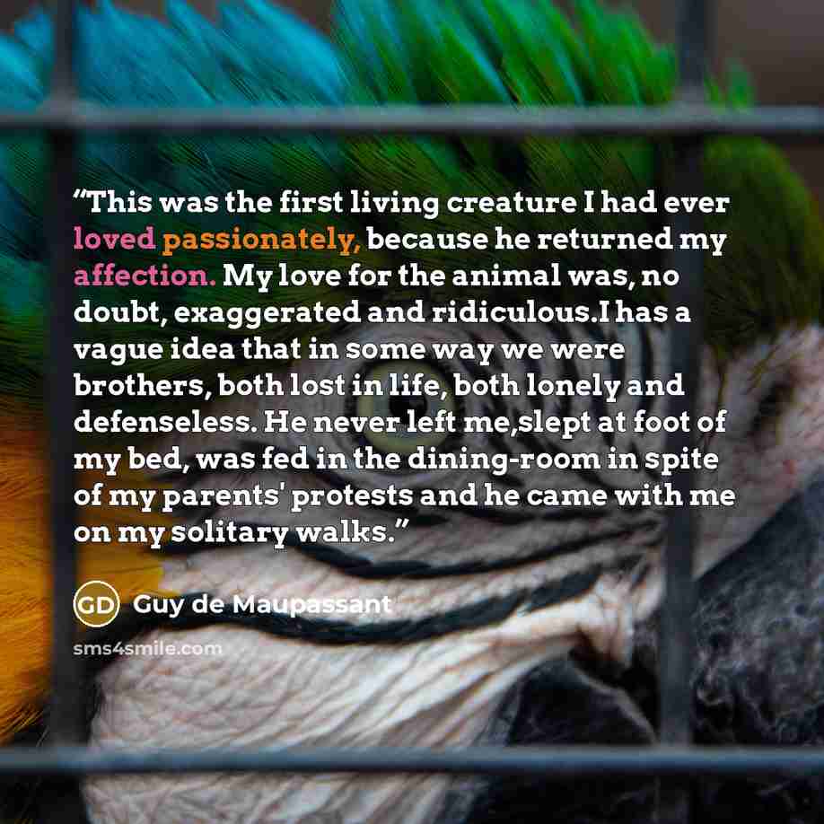 “This was the first living creature I had ever loved passionately, because he returned my affection. My love for the animal was, no doubt, exaggerated and ridiculous.I has a vague idea that in some way we were brothers, both lost in life, both lonely and defenseless. He never left me,slept at foot…” quote by Guy de Maupassant