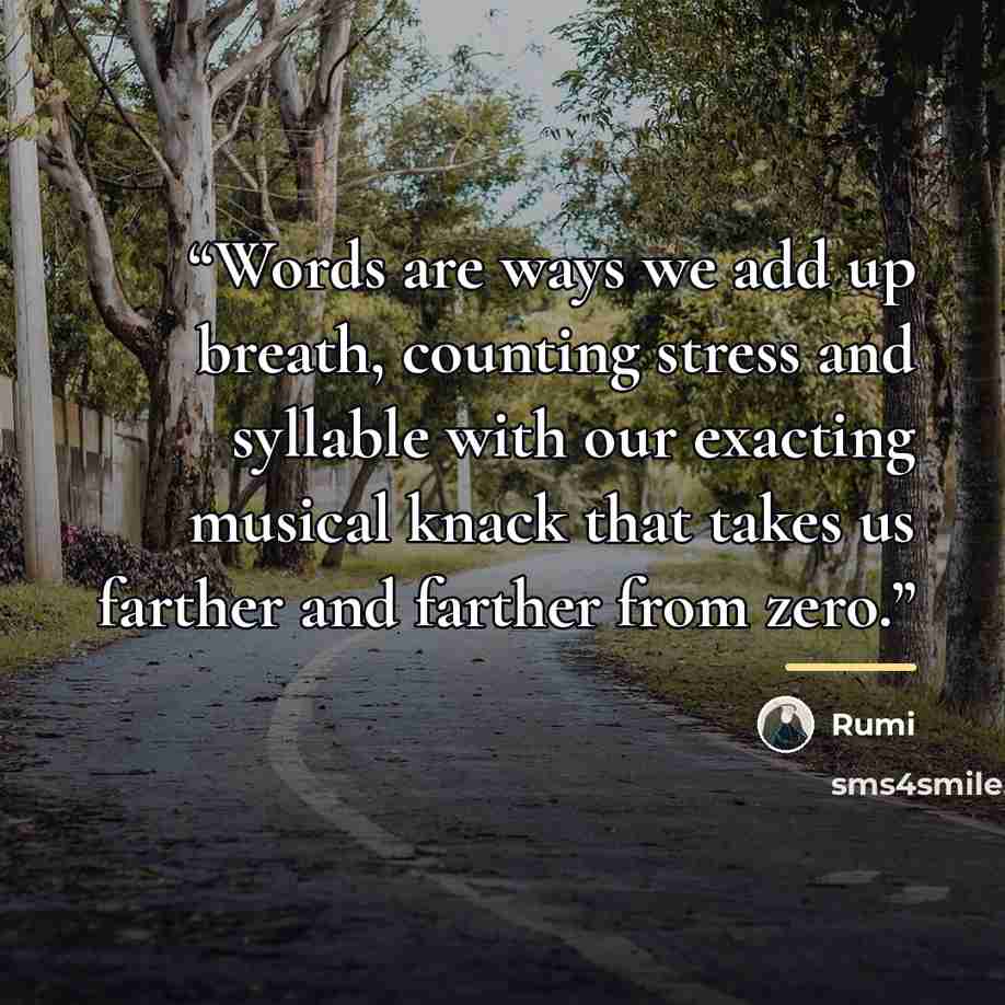 “Words are ways we add up breath, counting stress and syllable with our exacting musical knack that takes us farther and farther from zero.” quote by Rumi