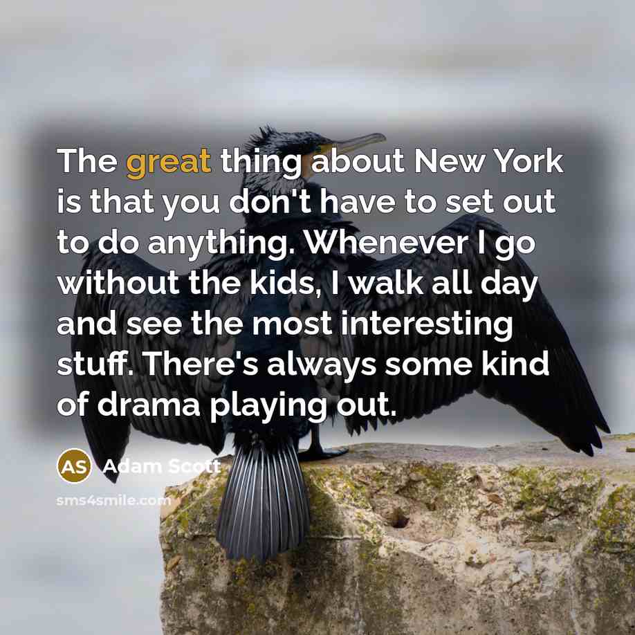 “The great thing about New York is that you don't have to set out to do anything. Whenever I go without the kids, I walk all day and see the most interesting stuff. There's always some kind of drama playing out.” quote by Adam Scott