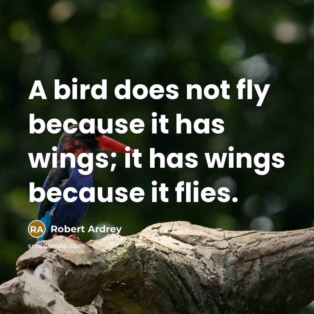 “A bird does not fly because it has wings; it has wings because it flies.” quote by Robert Ardrey