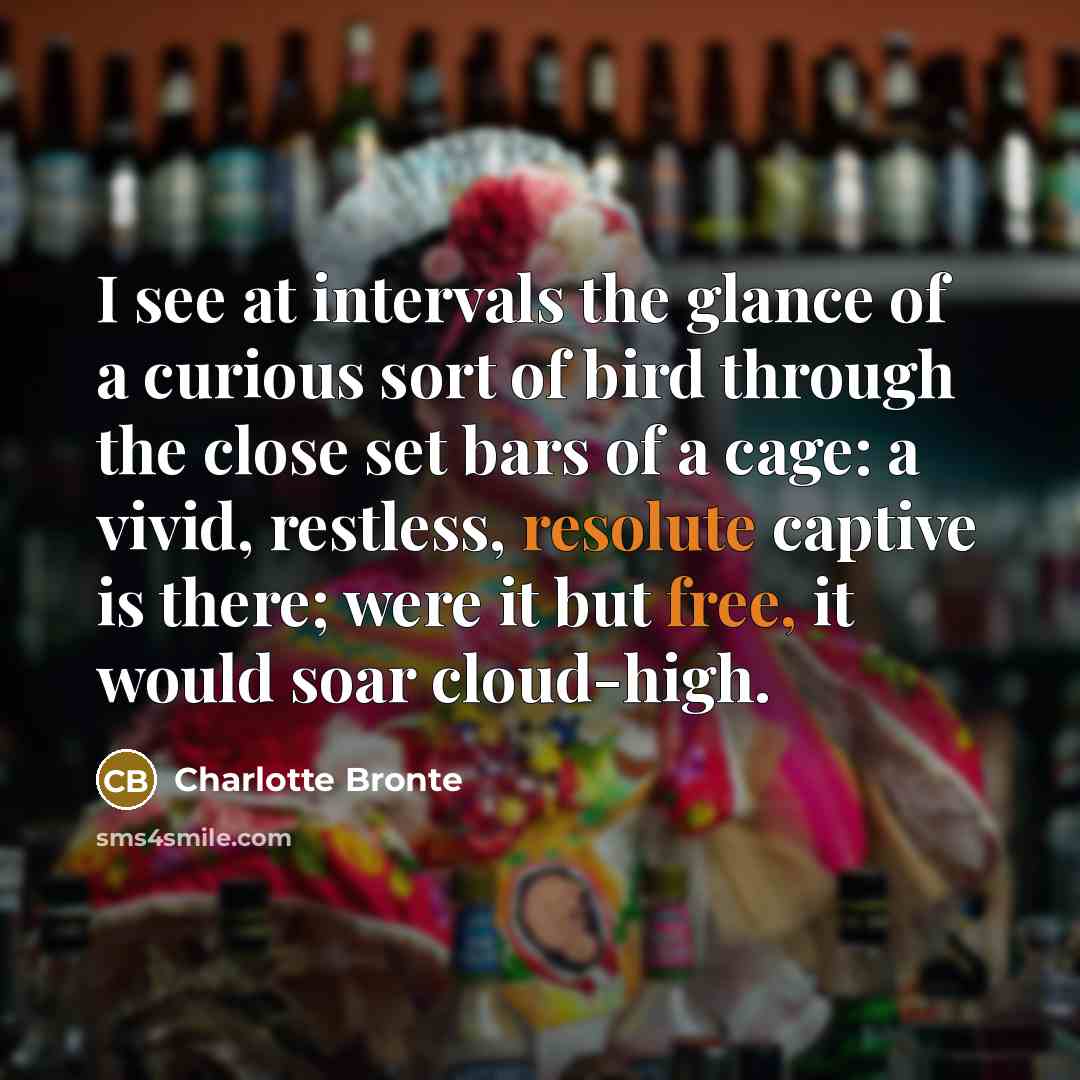 “I see at intervals the glance of a curious sort of bird through the close set bars of a cage: a vivid, restless, resolute captive is there; were it but free, it would soar cloud-high.” quote by Charlotte Bronte