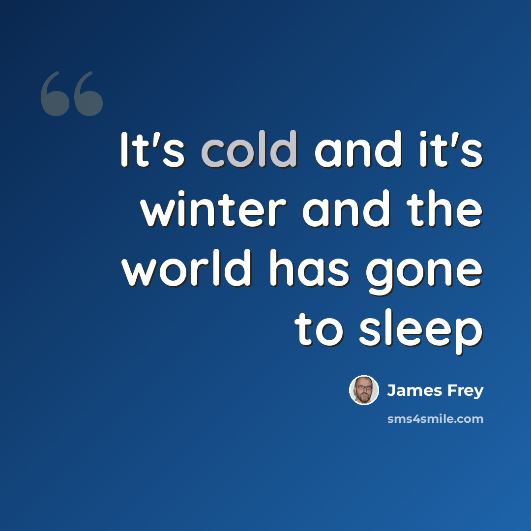 “It's cold and it's winter and the world has gone to sleep” quote by James Frey