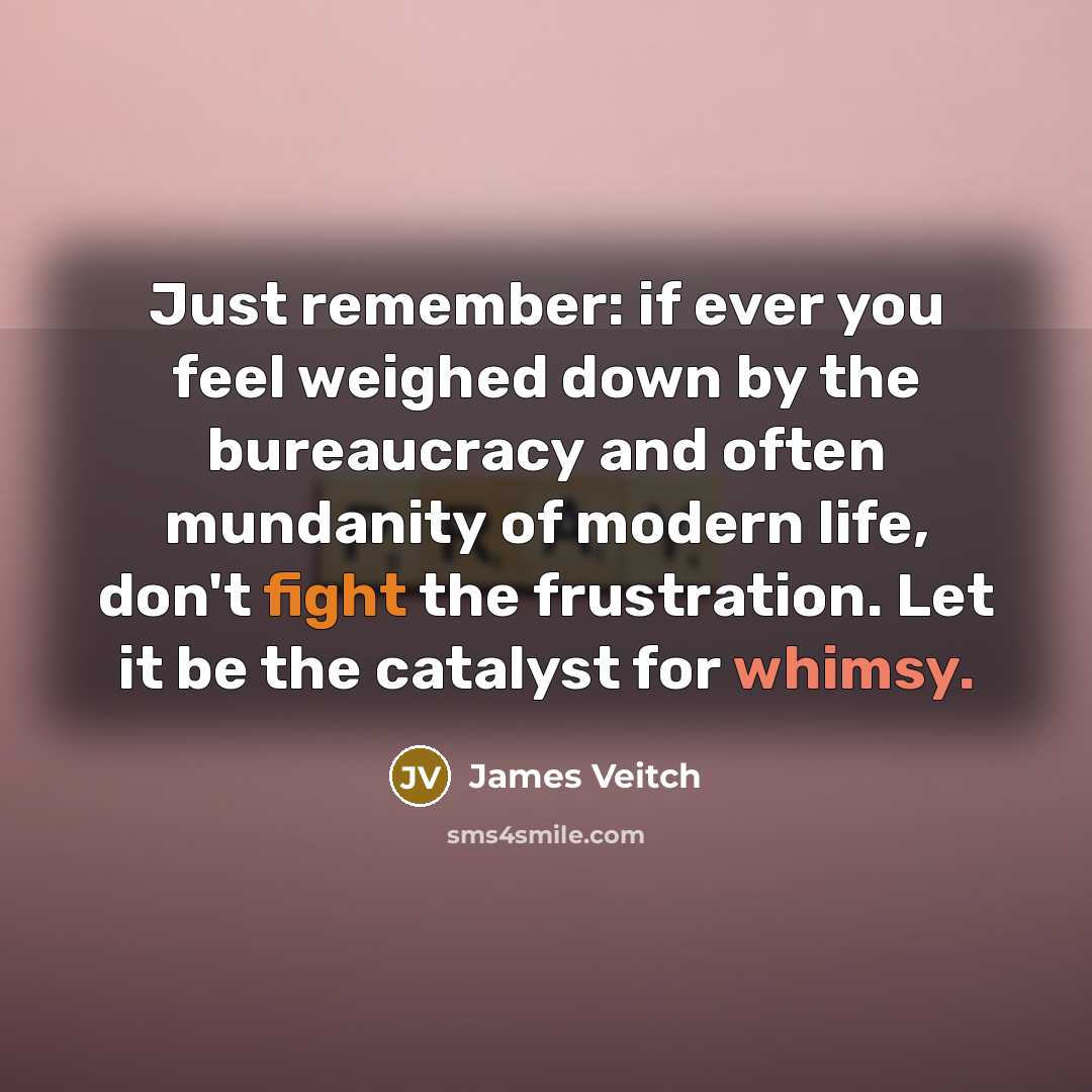 “Just remember: if ever you feel weighed down by the bureaucracy and often mundanity of modern life, don't fight the frustration. Let it be the catalyst for whimsy.” quote by James Veitch