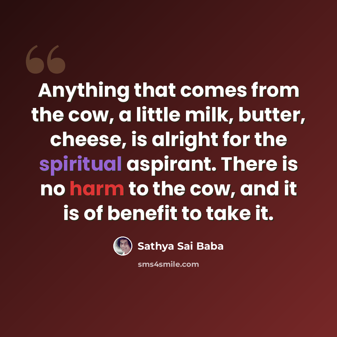 “Anything that comes from the cow, a little milk, butter, cheese, is alright for the spiritual aspirant. There is no harm to the cow, and it is of benefit to take it.” quote by Sathya Sai Baba