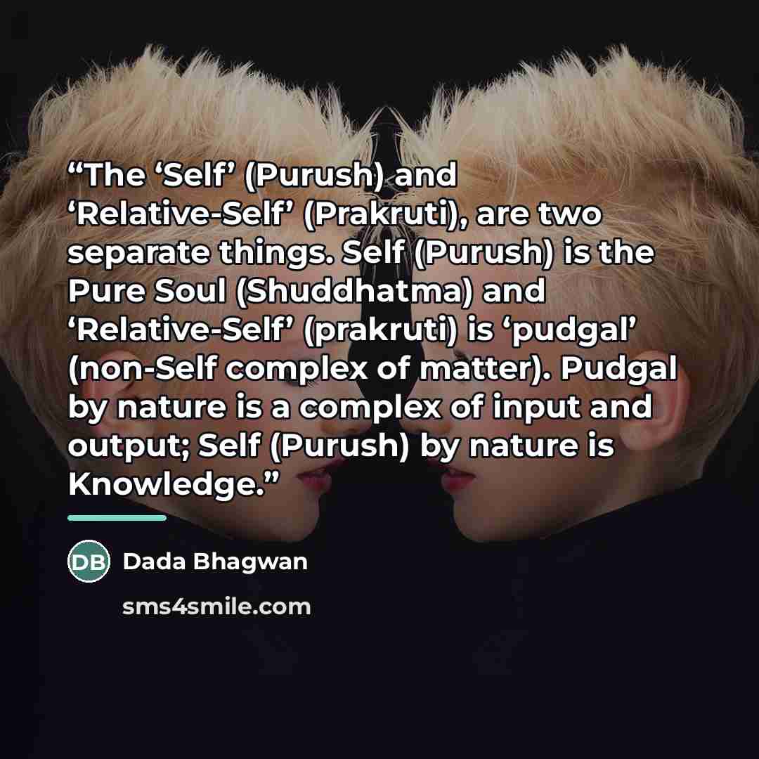 “The ‘Self’ (Purush) and ‘Relative-Self’ (Prakruti), are two separate things. Self (Purush) is the Pure Soul (Shuddhatma) and ‘Relative-Self’ (prakruti) is ‘pudgal’ (non-Self complex of matter). Pudgal by nature is a complex of input and output; Self (Purush) by nature is Knowledge.” quote by Dada Bhagwan